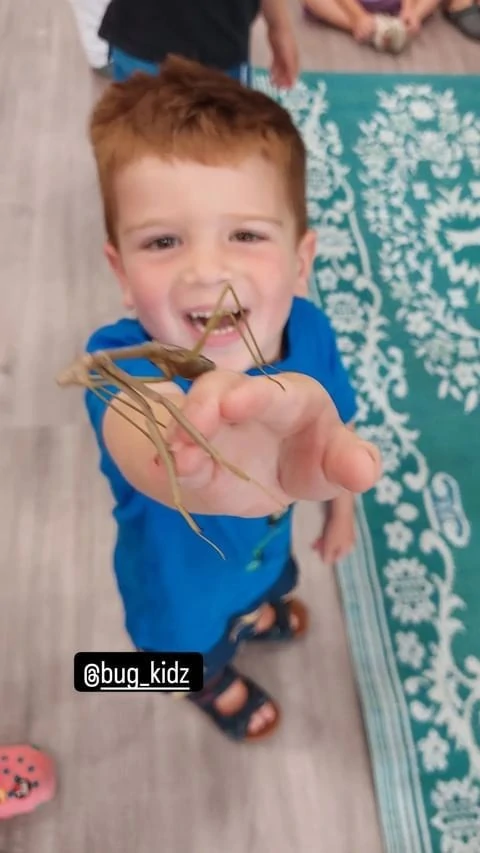 BugKidz Gallery | Bug Shows in Action (Gold Coast & Beyond)